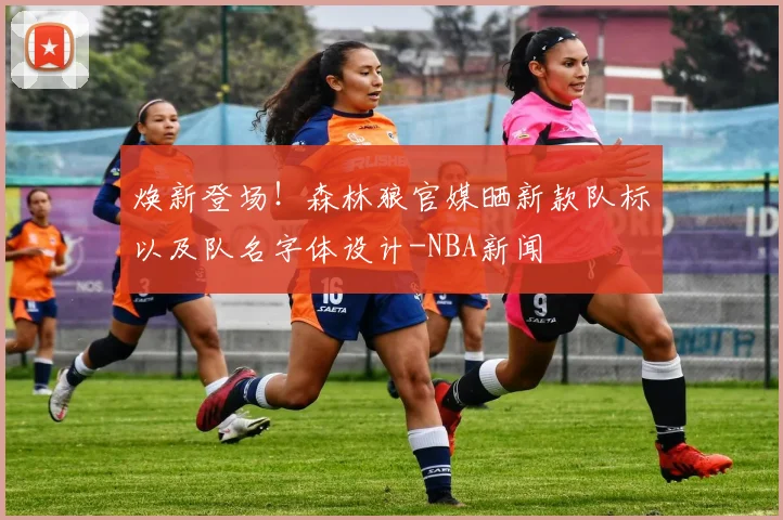 焕新登场!森林狼官媒晒新款队标以及队名字体设计-NBA新闻