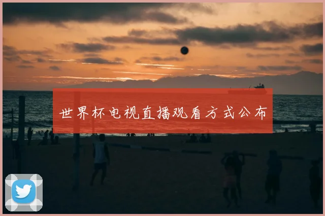 世界杯电视直播观看方式公布