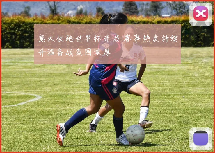 熊大快跑世界杯开启 赛事热度持续升温备战氛围浓厚