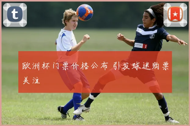 欧洲杯门票价格公布 引发球迷购票关注
